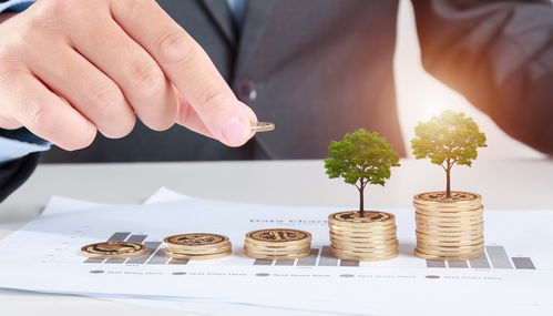 青岛培优私募股权投资基金落地 重塑金融行业投资管理格局的三链融合实践